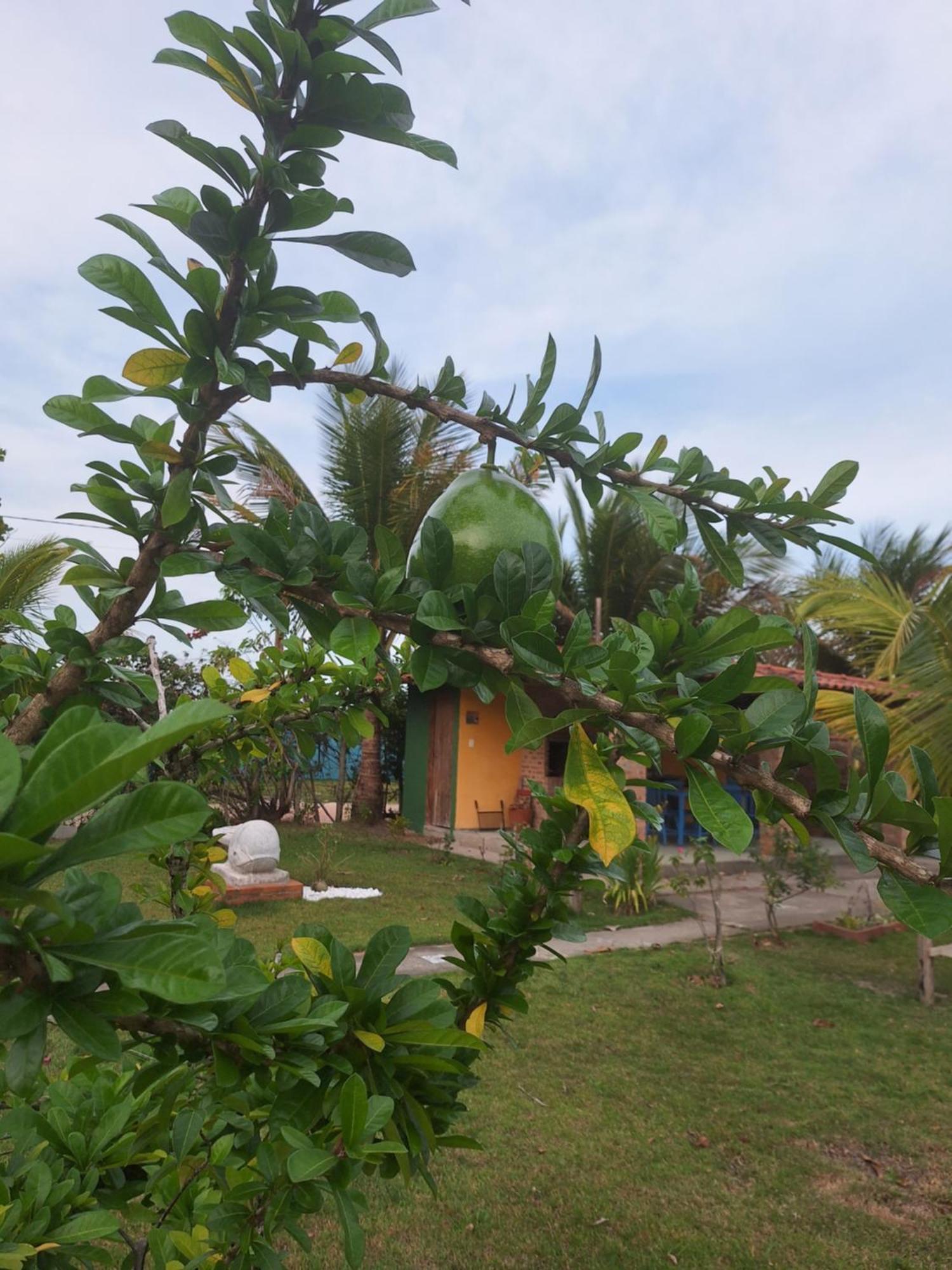Casas Lindas No Paraiso! Costa Dourada Oda fotoğraf